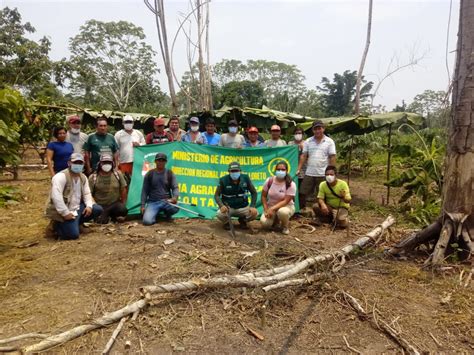 Dral Realiz Capacitaci N Del Manejo Agron Mico Del Cultivo De Cacao Y