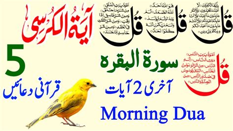 Live Morning Dua Qul Ayatul Kursi Surah Baqarah Last