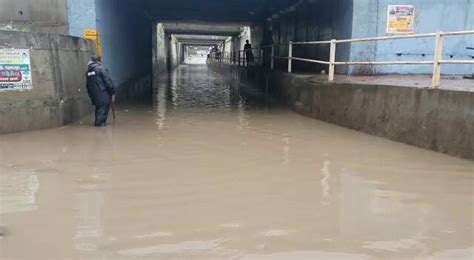 Gujarat Rains Due To Heavy Rainfall In Mehsana Water Logging Every