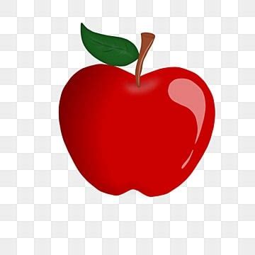 apel png transparent images   vector files pngtree