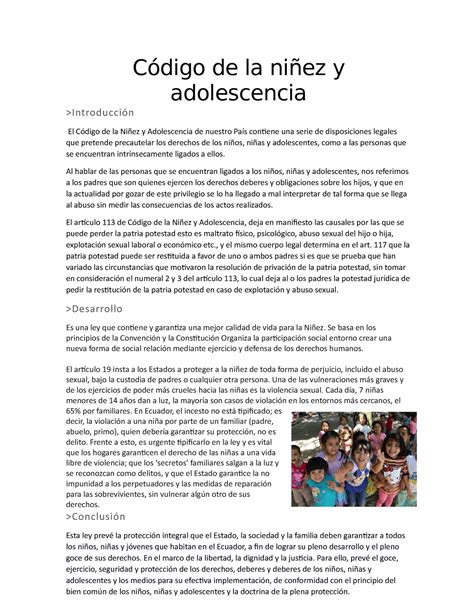 Código de la niñez y adolescencia Ensayo Código de la niñez y