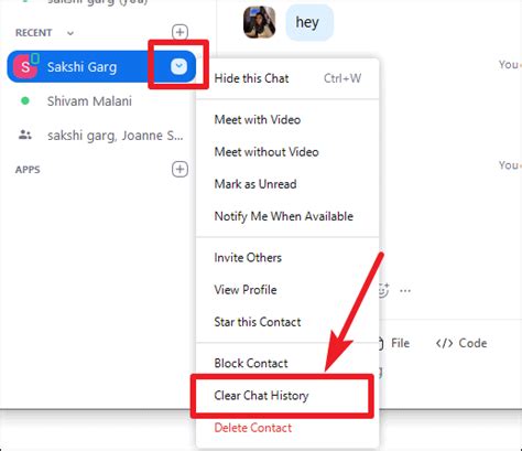 25 Zoom Chat Tips And Tricks To Become A Pro User