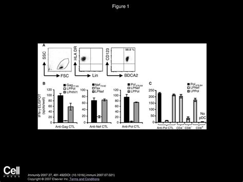 Antigen Crosspresentation By Human Plasmacytoid Dendritic Cells Ppt