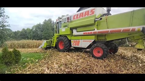 Kukurydziane Żniwa 2023 Claas Mega 208 Massey Ferguson 6499 YouTube