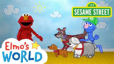 Sesame Street Dog Walker Elmos World Youtube