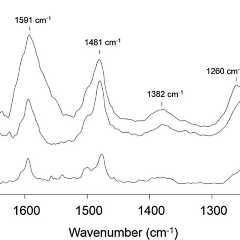 Atr Ir Spectra Of M Phenol Over Mnceo X In Water O At C Under