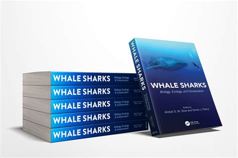 Global Whale Shark Research & Conservation Program — Marine Megafauna Foundation