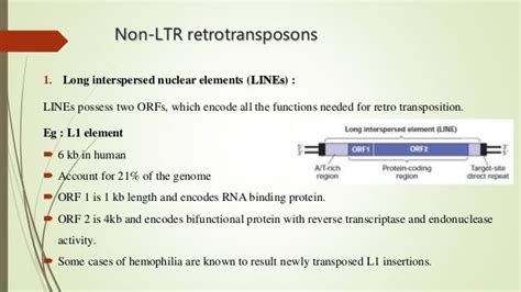 Transposable elements