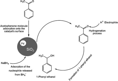 Transfer Hydrogenation Of Ketone An In Situ Approach Toward An Eco Friendly Reduction Rsc