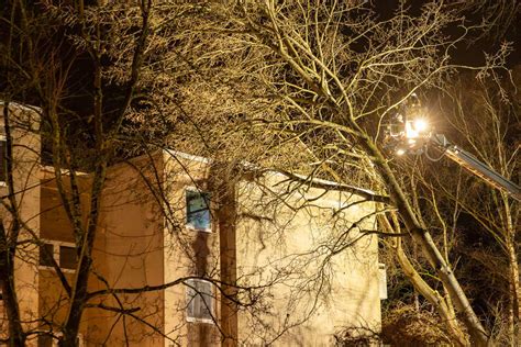 Obertshausen Sturm Zoltan lässt zwei 20 Meter Bäume auf