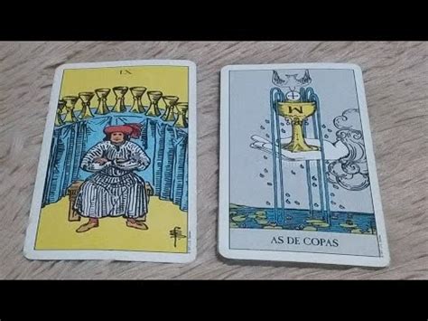 Nueve De Copas Combinaciones Con Todos Los Arcanos Menores Del Tarot