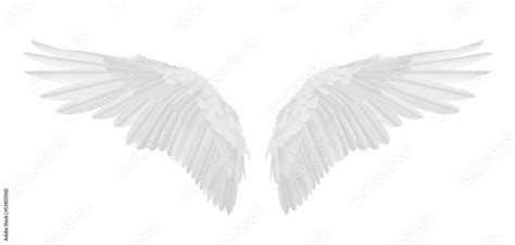 Fototapeta Glamour I Art Deco Vector Realistic Angel Wings Isolated On