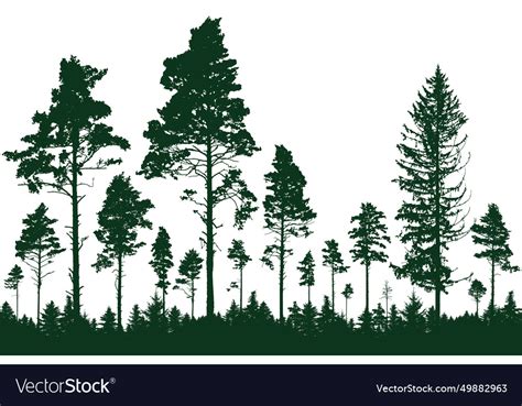 Coniferous Forest Silhouette Of Pine Trees Vector Image