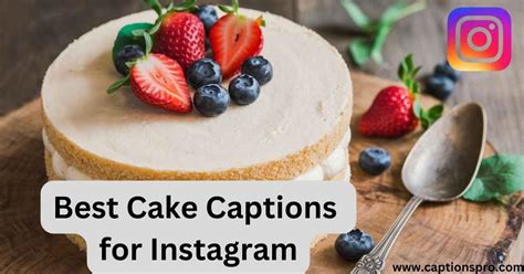 360 Best Cake Captions For Instagram Captions Pro