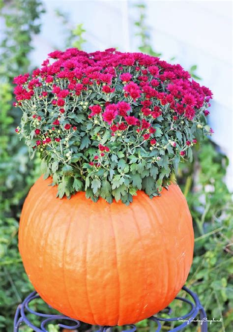 Simple Ways To Make A Pumpkin Planter Blitsy