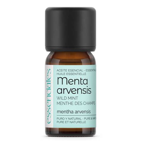 Aceite Esencial De Menta Arvensis Essenciales