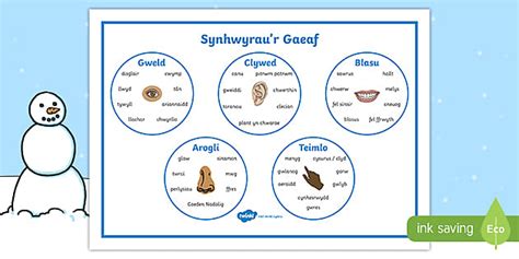 Mat Geiriau Synhwyrau Y Gaeaf Teacher Made Twinkl