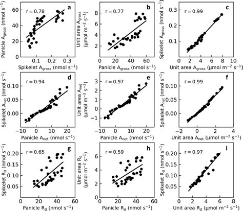 Correlations Between Panicle Photosynthetic Gas Exchange Parameters