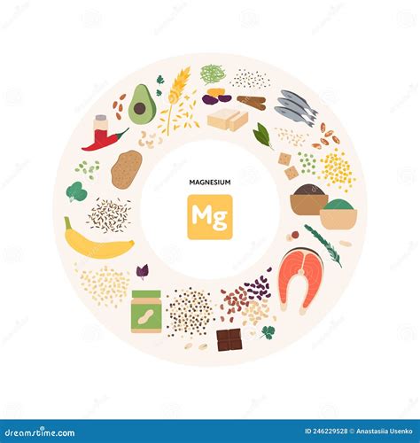 Healthy Food Micronutrients Guide Concept. Vector Flat Illustration. Collection of Magnesium ...