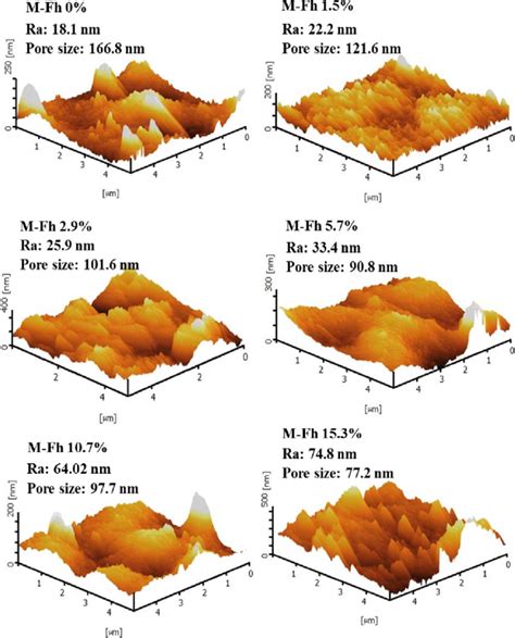 Surface Morphologies Examined Under Afm Topography Images Download