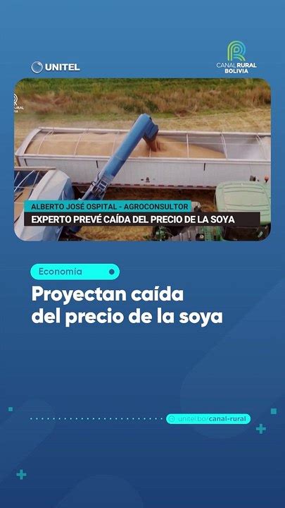 Proyectan caída del precio de la soya Vídeo Dailymotion