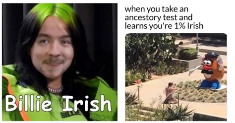 Leprechaun Laughs 30 Irish Memes That Will Sham Rock Your World