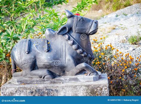 Sculpture of Nandi Shiva S Bull in Pokhara,Nepal Stock Photo - Image of ...