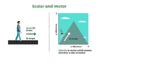 What is Scalar Quantity?