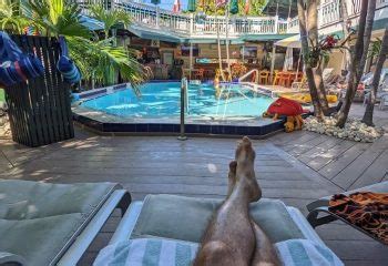 Gay Key West Guide 2025 Gay Bars Saunas Parties More