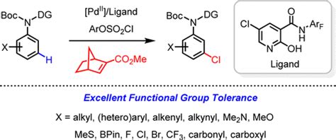 Ligand Promoted Meta Ch Chlorination Of Anilines And Phenolsjournal