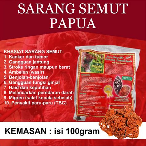 Jual Sarmut Sarang Semut Curah Rebus Ud Fira Sarang Semut Asli Papua