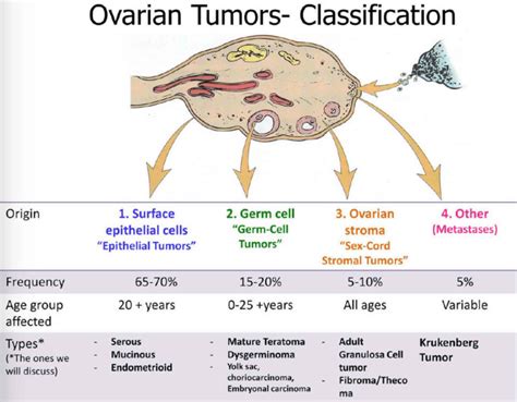 Granulosa cell tumor causes, symptoms, diagnosis, staging, treatment & prognosis