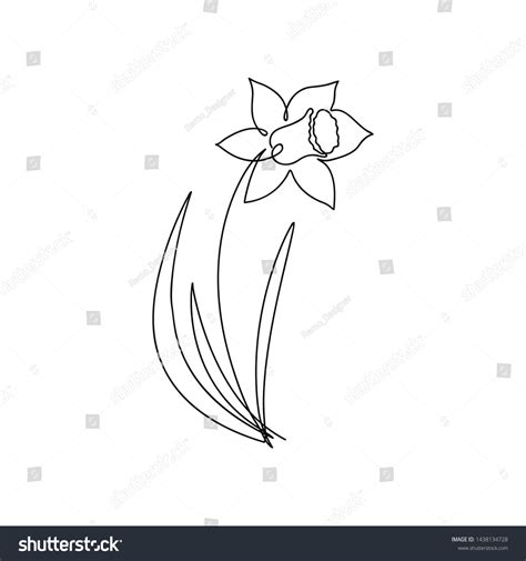 Narcissus One Line Drawing Continuous Line Royalty Free Stock Vector