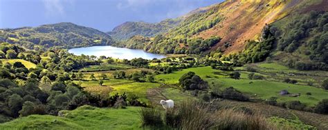 Culture Wales , United Kingdom - Easyvoyage