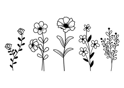 Hand Drawn Wildflowers Vector Collection Minimalist Style Vector Illustration Isolated On White