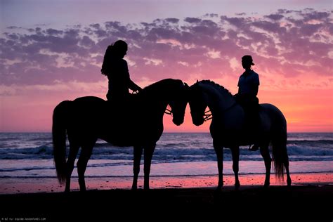 fotoreise-andalusien-pferde-strand-sonnenuntergang | Birgit Zimmermann Fotografie