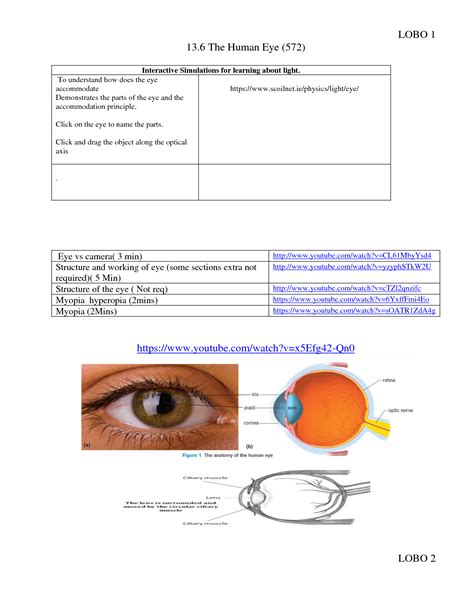 Solution Physics Notes The Human Eye Studypool