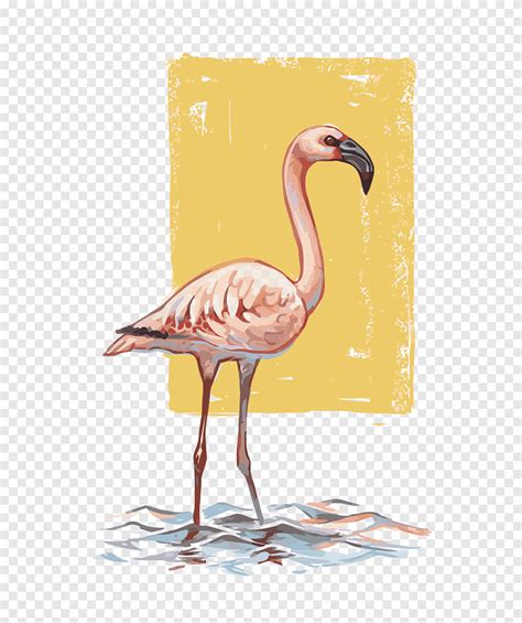 Flamingos Bird Drawing Flamingo Png Material Ink Png Pngegg