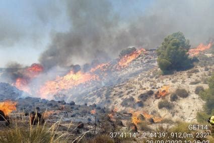 El Plan Infoca Da Por Controlado El Incendio Forestal De Cortes De Baza