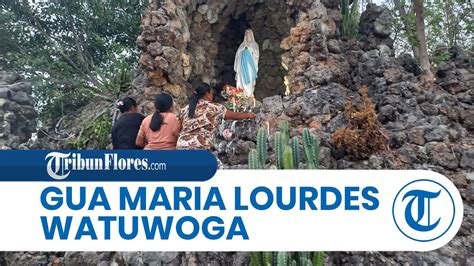 Berkunjung Ke Tempat Wisata Rohani Di Flores Gua Maria Lourdes