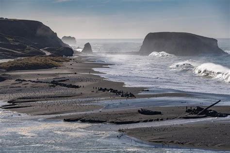 10 Best Russian River Beaches