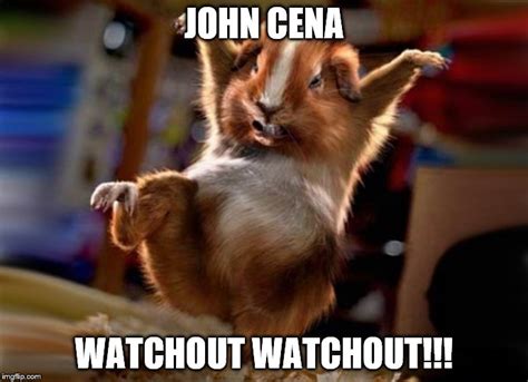 Sale > watch out john cena > in stock