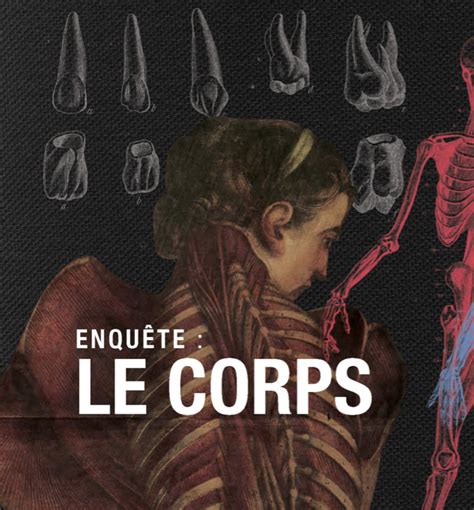 Nuits De La Lecture Le Corps Fondu Au Noir