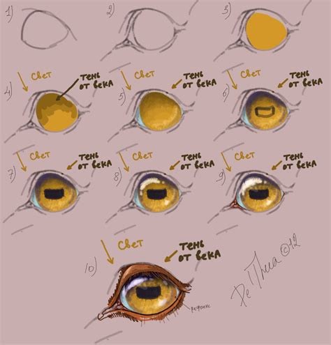 Tutorial: how to draw the eye of horse by Esa82 on DeviantArt