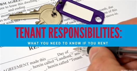 What Are A Tenants Responsibilities Rochills Estate Agents