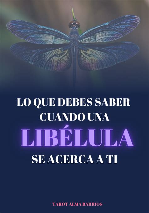 LO QUE DEBES SABER CUANDO UNA LIBÉLULA SE ACERCA A TI Frases de