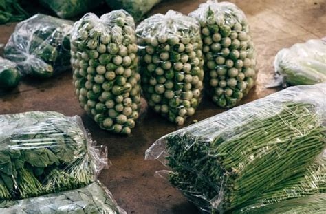 Esta Es La Manera Correcta Para Guardar Las Verduras En La Nevera Y