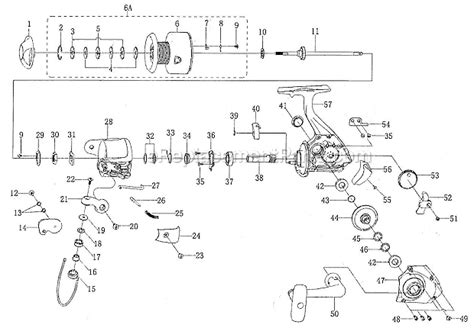 Shimano Spinning Reel Parts Diagram | Reviewmotors.co