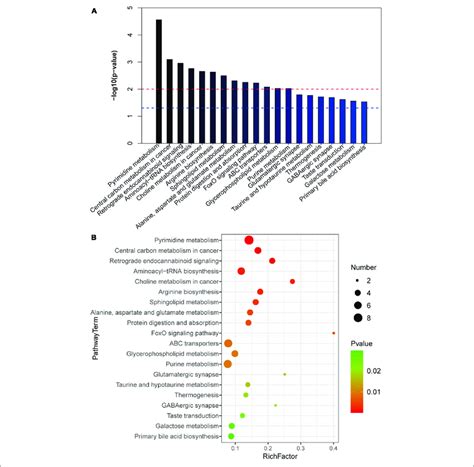 Kegg Analysis Of Differential Metabolites Ab The Top 20 Metabolic