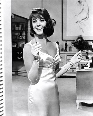 Natalie Wood In Sex And The Single Girl X Publicity Photo Ab Ebay Uk